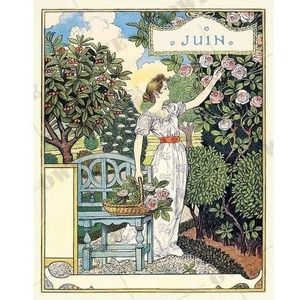 Meet your Posher, Elizabeth